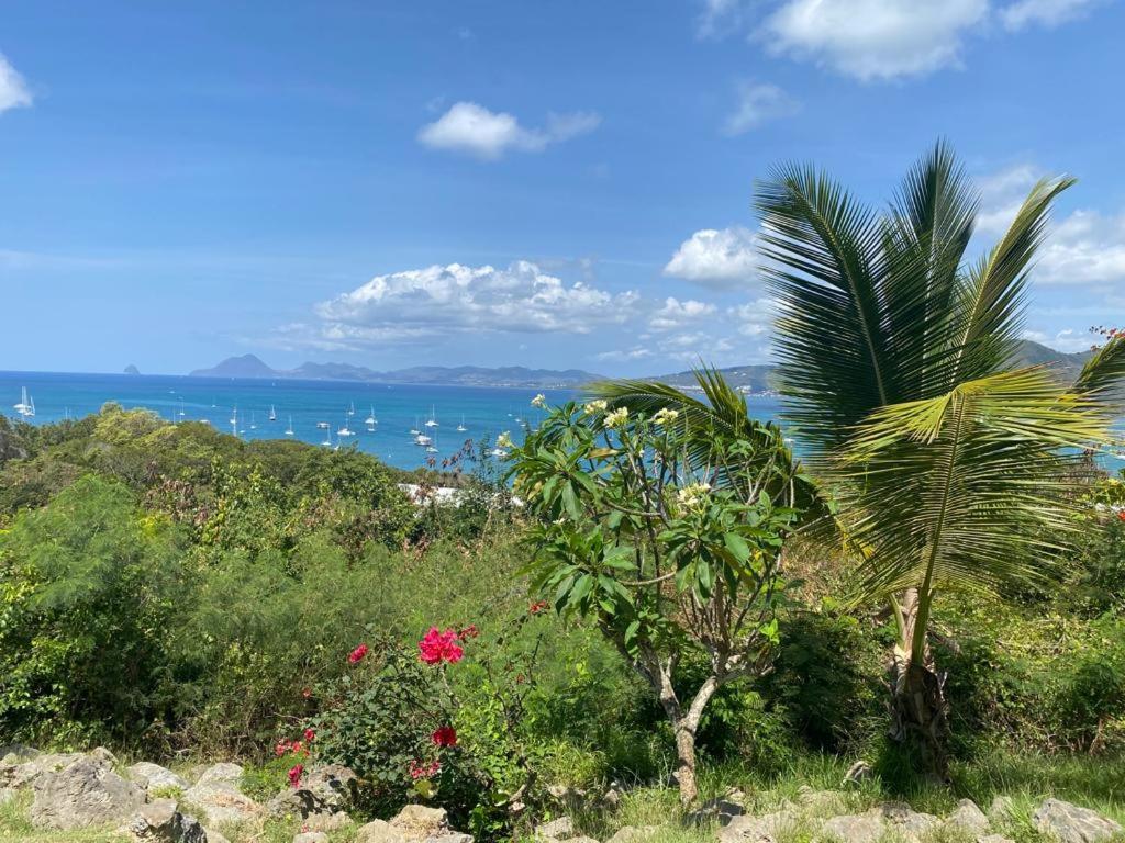 Superbe appartement vue sur mer Sainte-Anne Extérieur photo